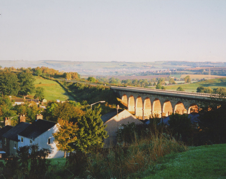 <h2></h2><p class='caption'>Mavis Dixon</p>